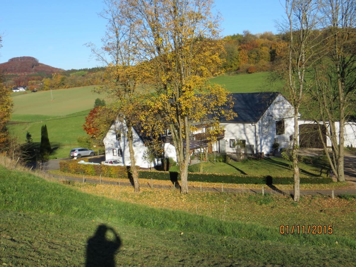 Ferienwohnungen Grafenfelder Hof Gerolstein Buitenkant foto