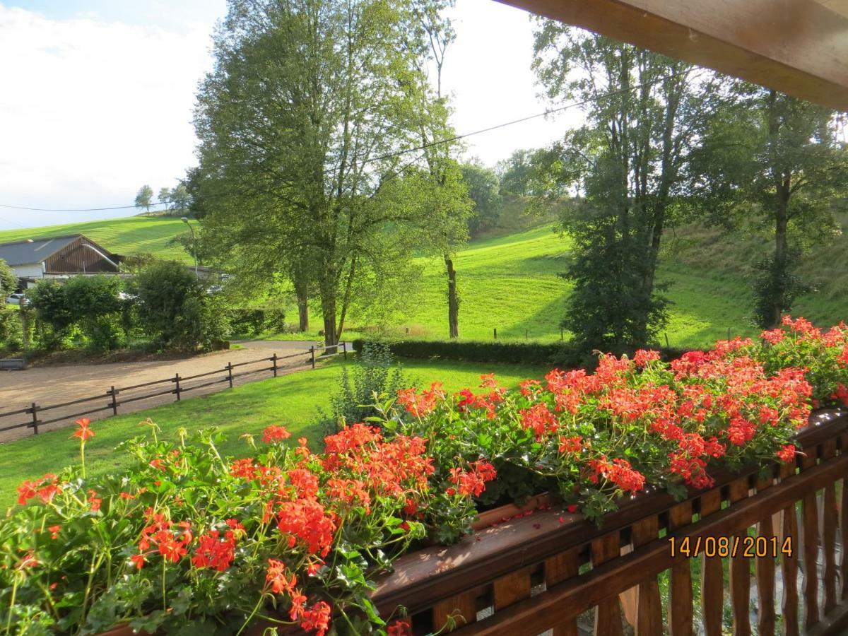 Ferienwohnungen Grafenfelder Hof Gerolstein Buitenkant foto