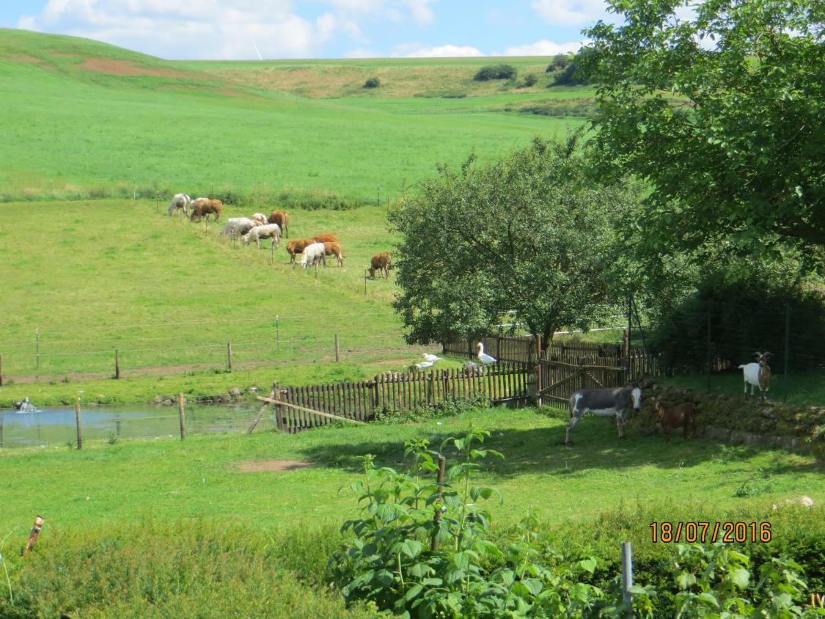 Ferienwohnungen Grafenfelder Hof Gerolstein Buitenkant foto